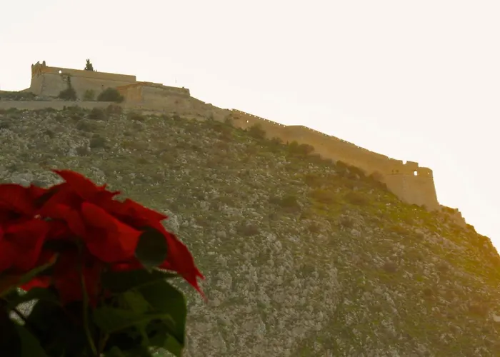 365Nafplio City